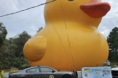 Mama-Duck-with-Sheriff-Car