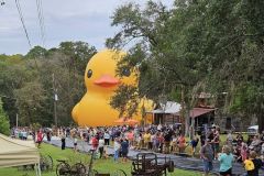 Mama-Duck-with-crowd-900